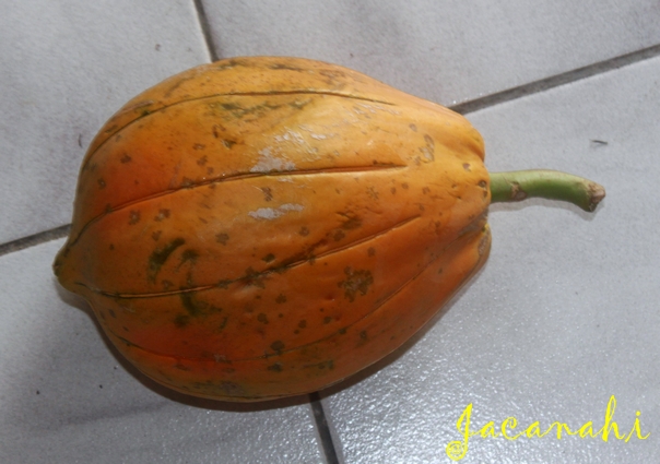 fruit papaye