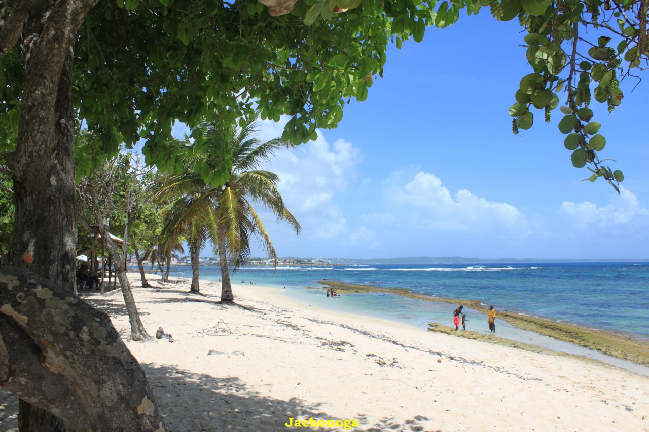 Autre Bord Jacanahi
