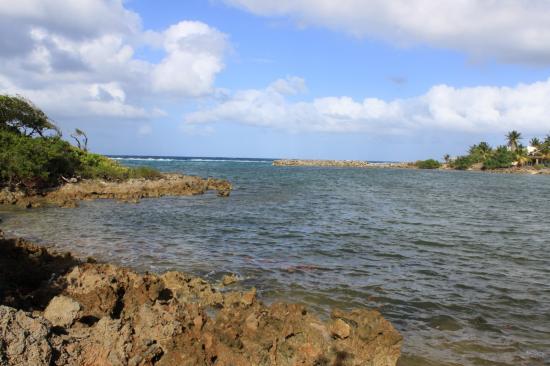 La Baie du MOULE