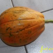 fruit papaye